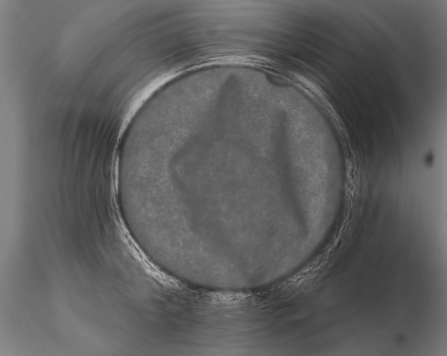 X0000115670804200912031355