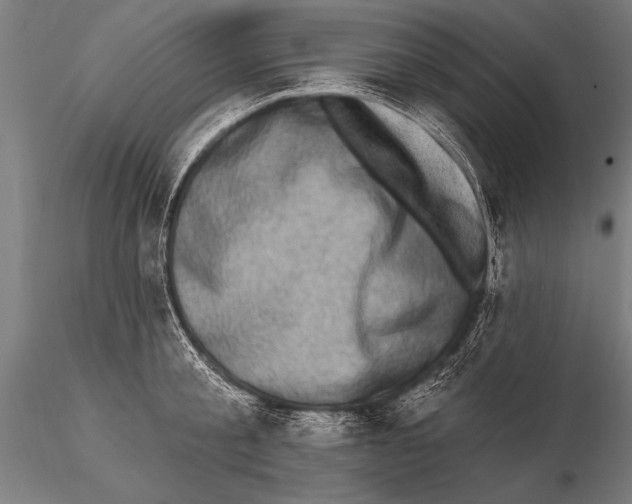 X0000115670805200912031355