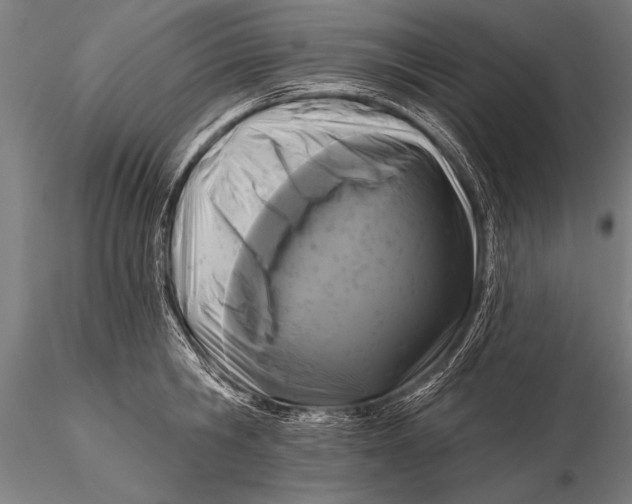 X0000115670806200912031355