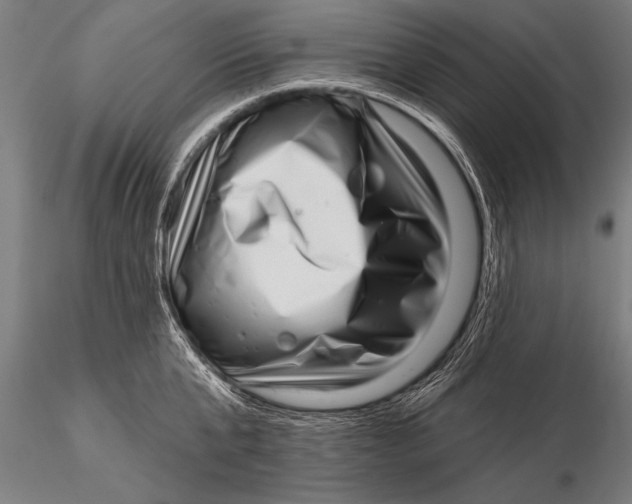 X0000115670807200912031355