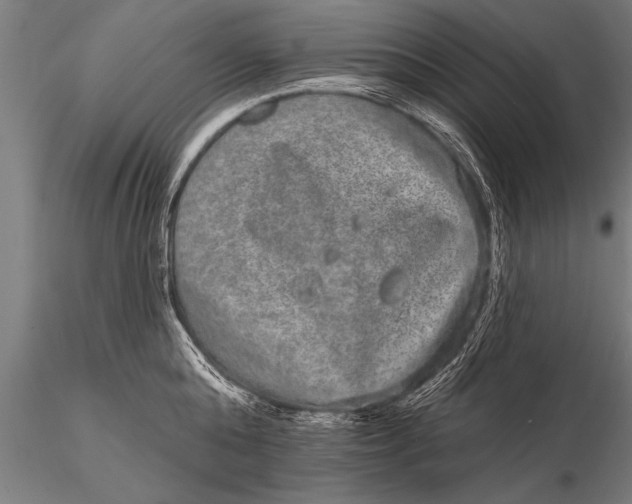 X0000115670808200912031355