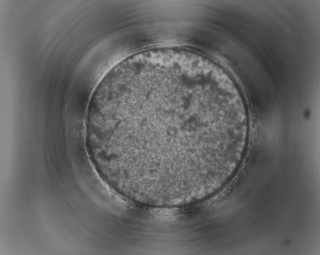 X0000115670810200912031355