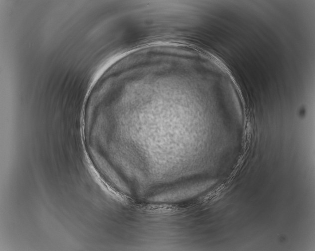 X0000115670811200912031355