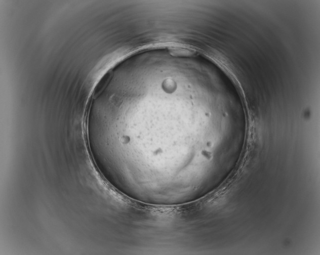 X0000115670813200912031354