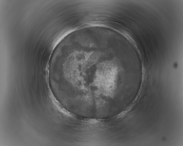 X0000115670814200912031354