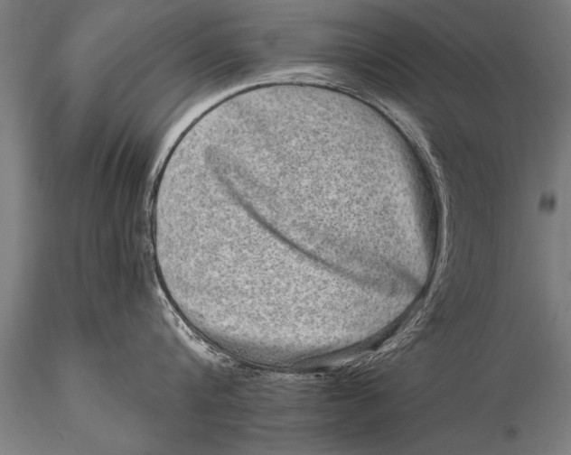 X0000115670816200912031354