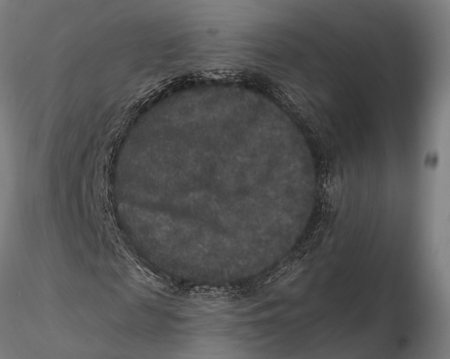 X0000115670817200912031354