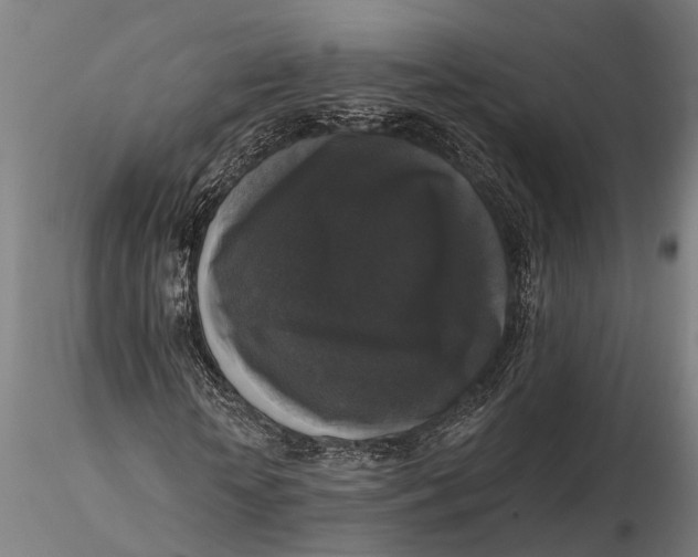 X0000115670818200912031354