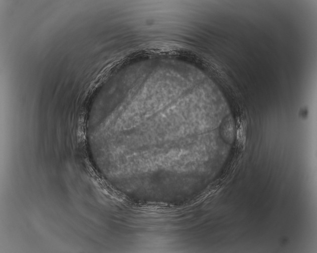 X0000115670819200912031354