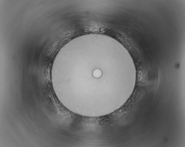 X0000115670820200912031354