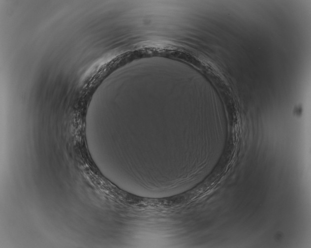 X0000115670822200912031354