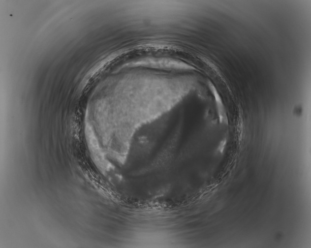 X0000115670823200912031354