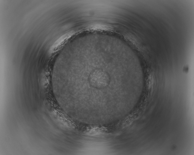 X0000115670824200912031354