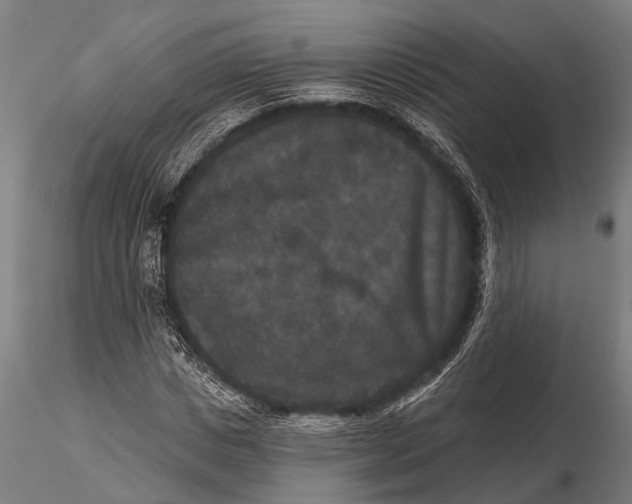 X0000115670825200912031354