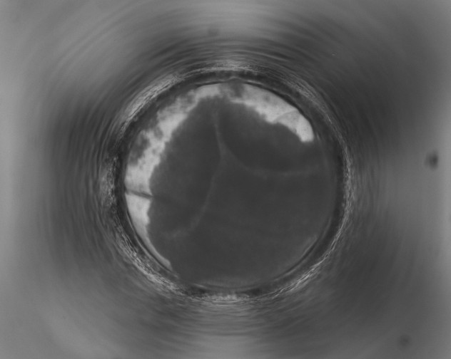 X0000115670826200912031354