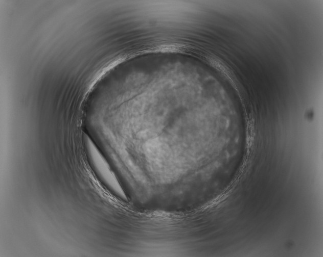 X0000115670827200912031354