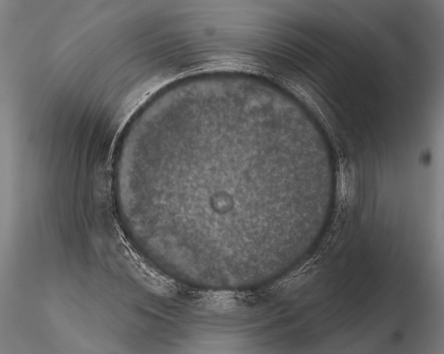 X0000115670828200912031354