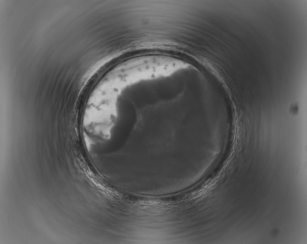 X0000115670830200912031354