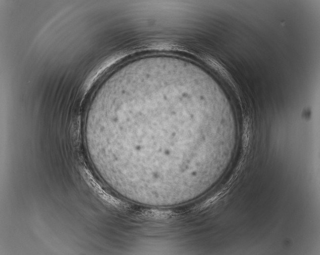 X0000115670831200912031354