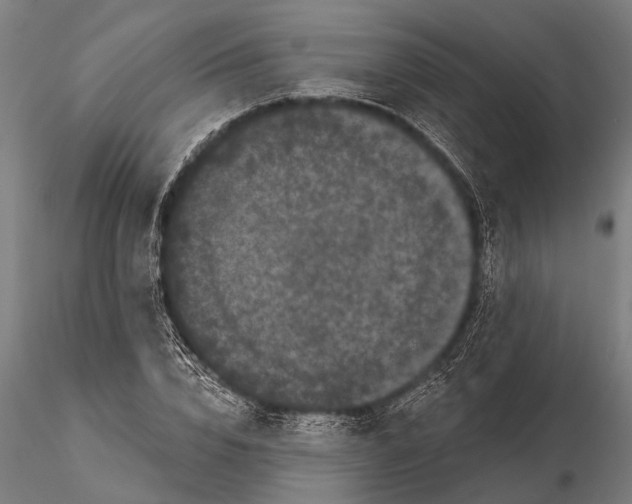 X0000115670832200912031354