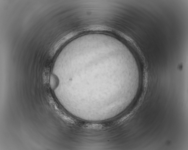 X0000115670833200912031354