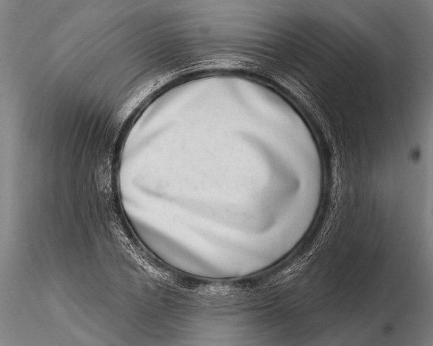 X0000115670834200912031354