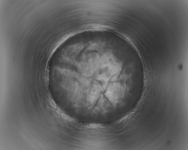 X0000115670835200912031354