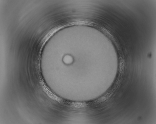 X0000115670836200912031354