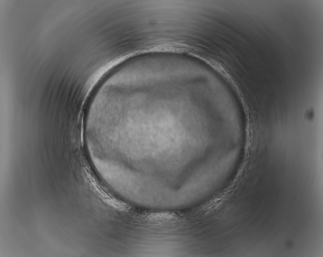 X0000115670838200912031354