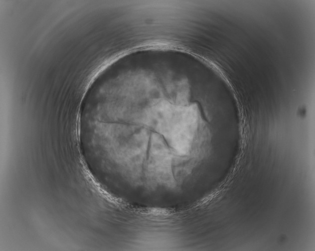 X0000115670839200912031354