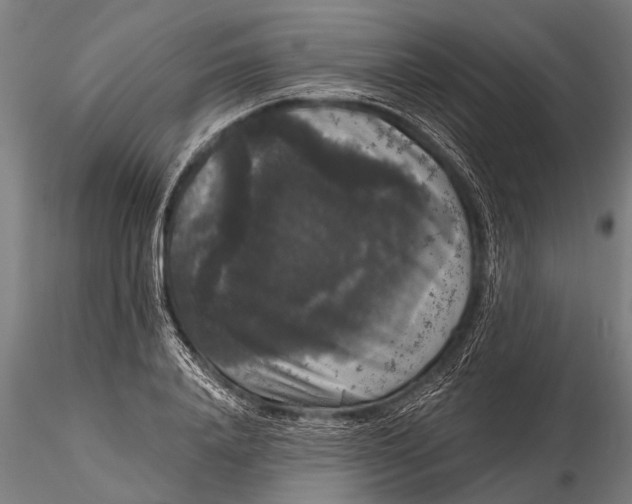 X0000115670840200912031354