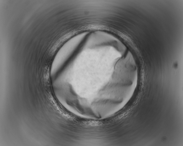 X0000115670841200912031354