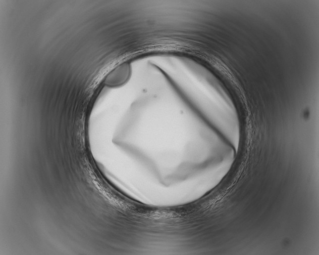 X0000115670842200912031354