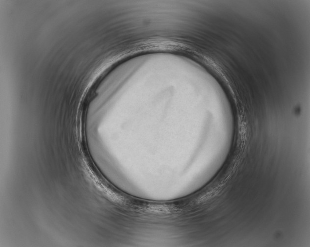 X0000115670843200912031354