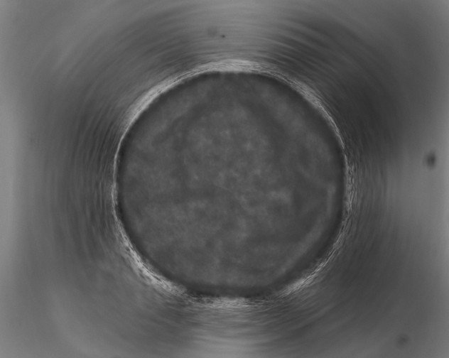 X0000115670845200912031354