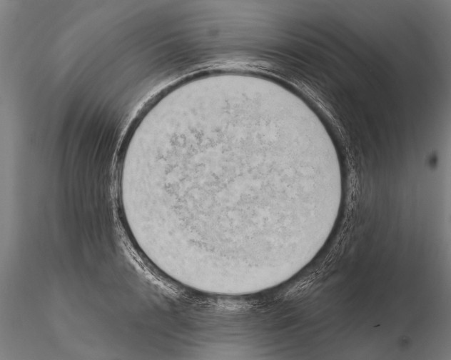 X0000115670848200912031354