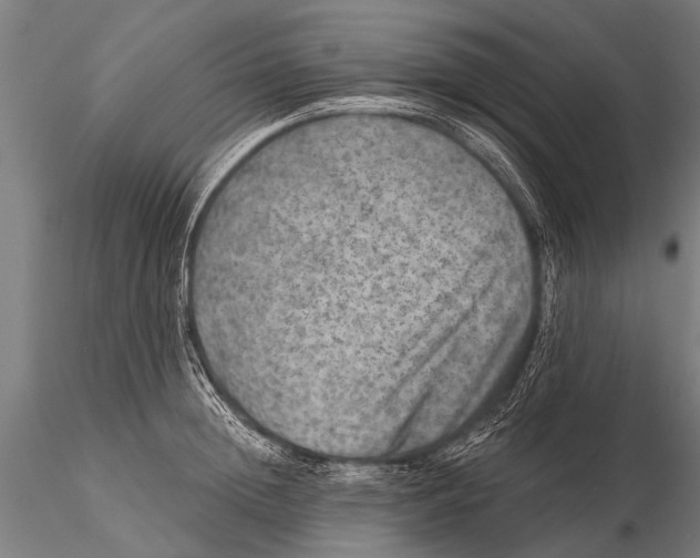 X0000115670852200912031354