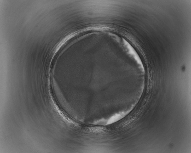 X0000115670853200912031354