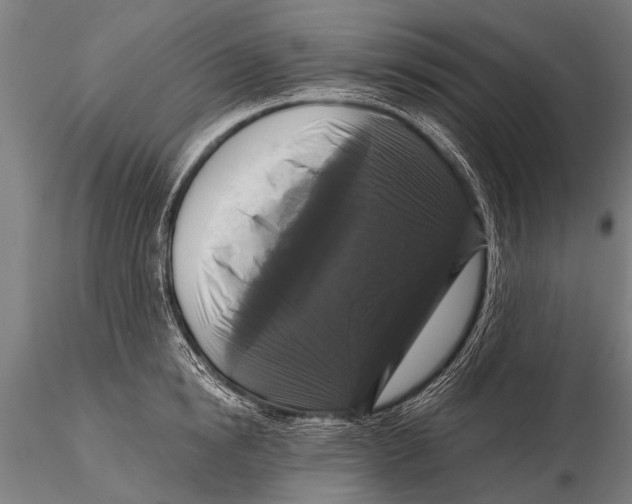 X0000115670854200912031354