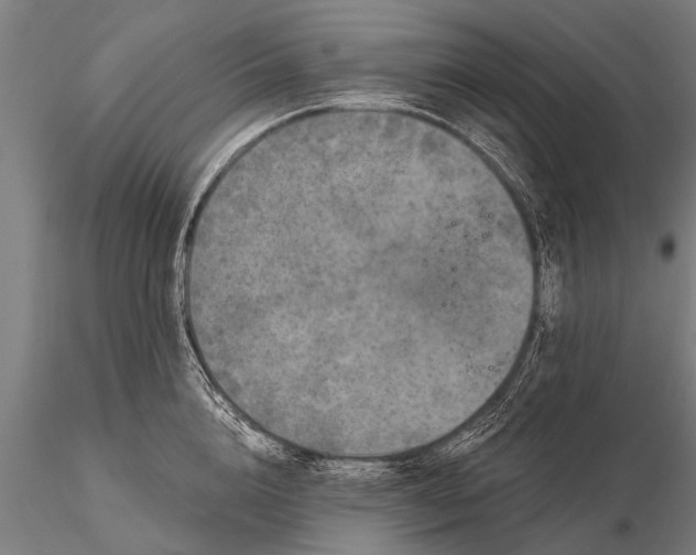 X0000115670856200912031354