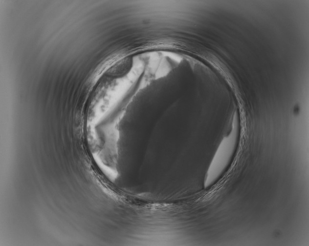 X0000115670858200912031354