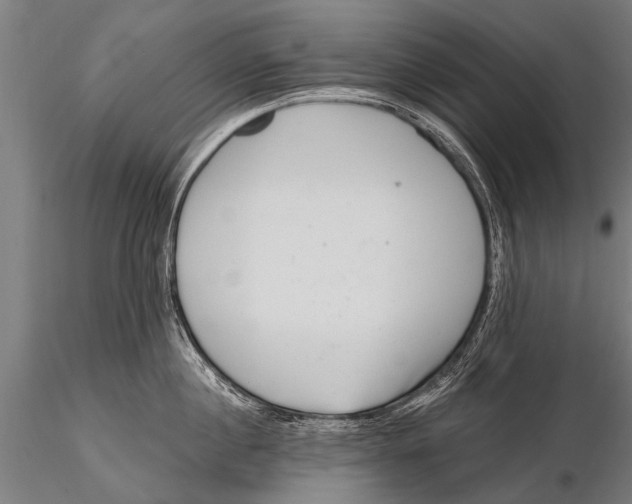 X0000115670860200912031354