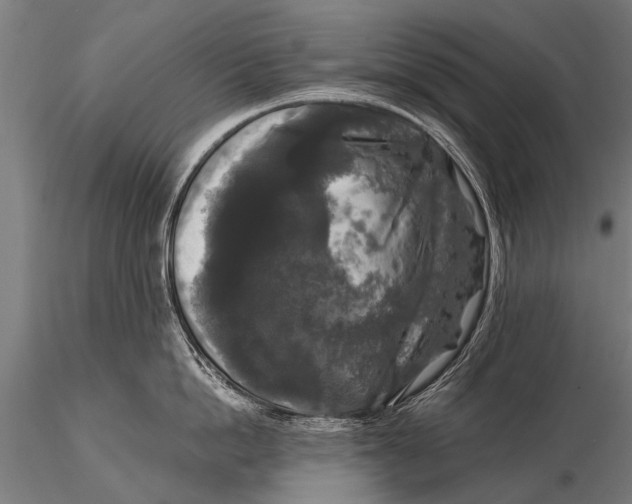 X0000115670862200912031354