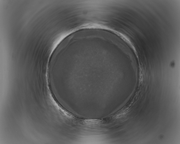 X0000115670863200912031354