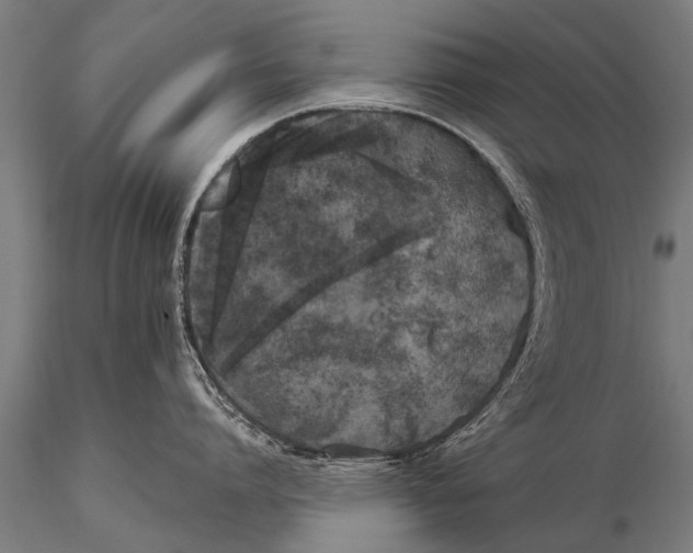 X0000115670864200912031354