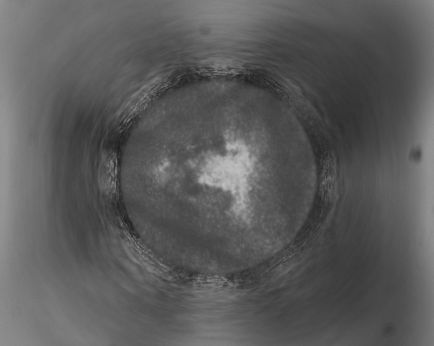 X0000115670866200912031354