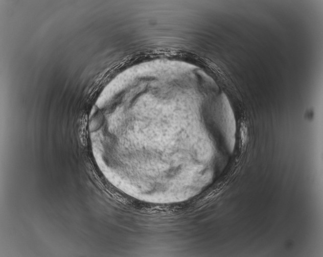 X0000115670867200912031354