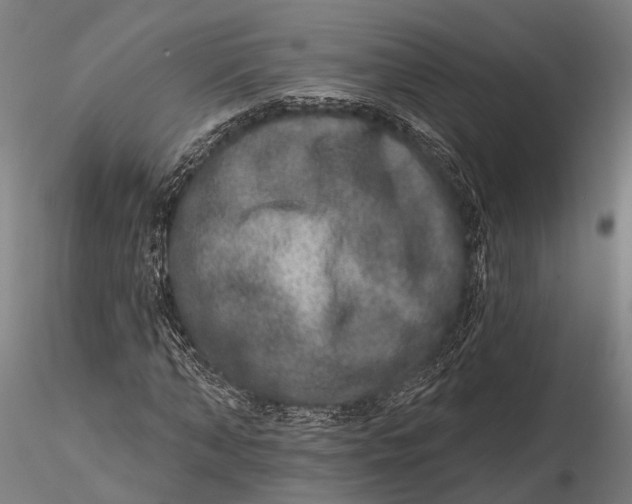 X0000115670870200912031354