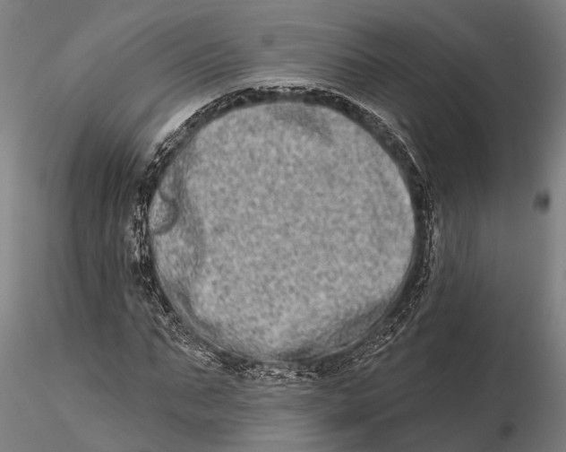 X0000115670871200912031354