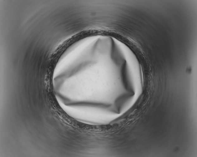 X0000115670872200912031354